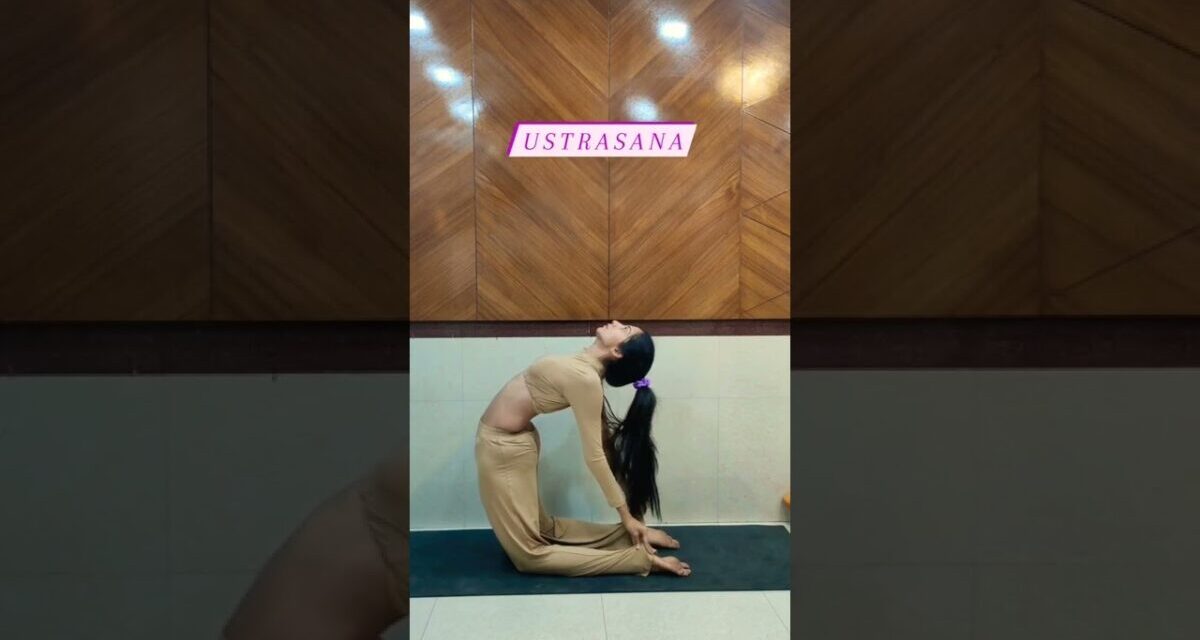 5yoga Poses To Reduce Belly Fat✨🧘#sakshiyogastudio #shorts #yoga #bellyfat #reducebellyfat