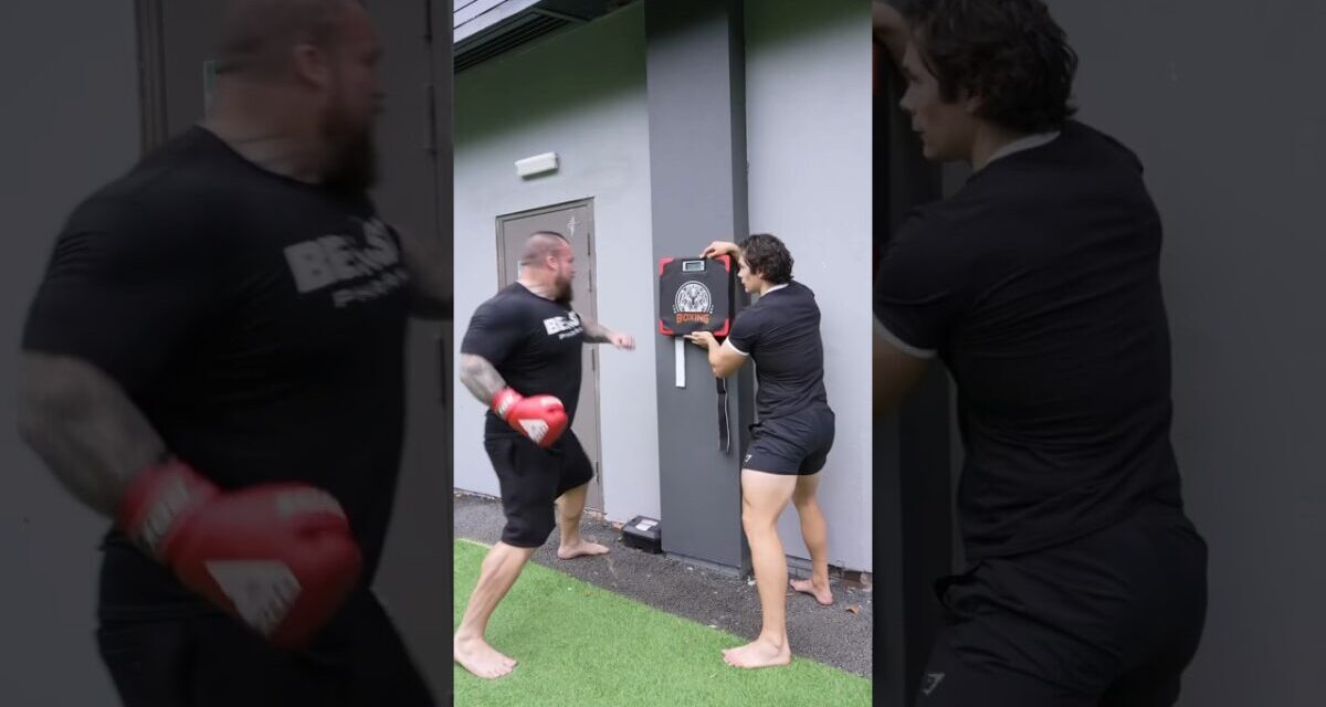 How Hard Can World’s Strongest Man Punch?