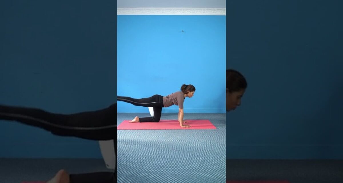 Flexibility Yoga For Beginners