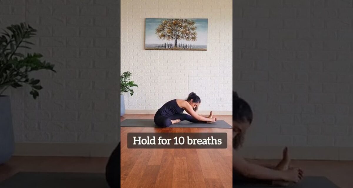 3 Yoga Asanas You Should Do DAILY | Yogbela