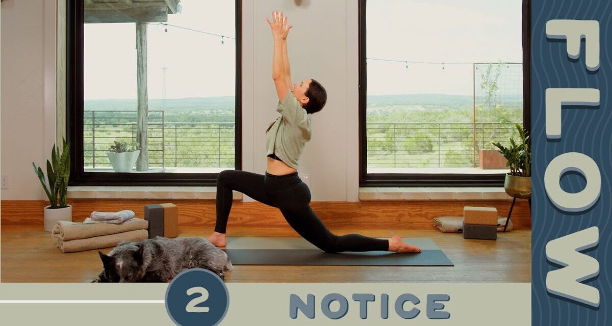 Flow – Day 2 – Notice