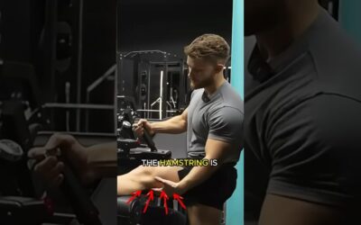 Jeff Nippard FIXED My Hamstring Curl