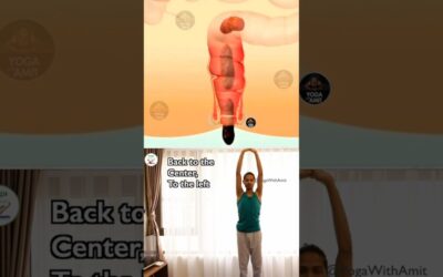 Constipation Relief Yoga #constipation #relief #yoga