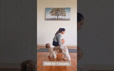 Improve Your Concentration | Yoga Asanas | Yogbela
