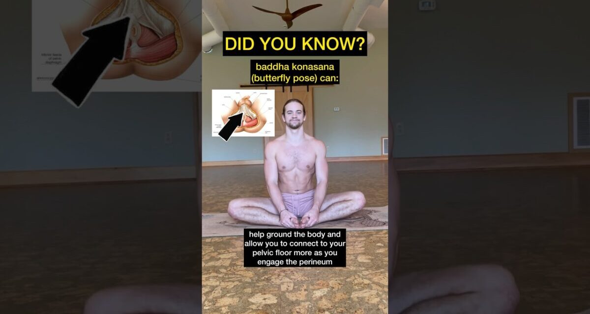 Butterfly Pose (baddha Konasana) Benefits 👁️ #butterflypose #perineum #pelvicfloor #shorts #yoga