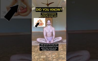 Butterfly Pose (baddha Konasana) Benefits 👁️ #butterflypose #perineum #pelvicfloor #shorts #yoga