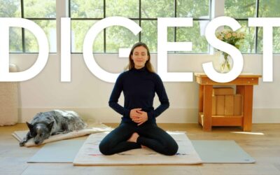 Yoga For Digestion – Bija Practice
