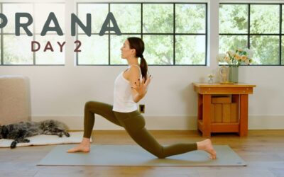Prana – Day 2