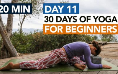 20 Min Gentle Yoga Routine (Day 11) 30 Days Of Yoga For Beginners