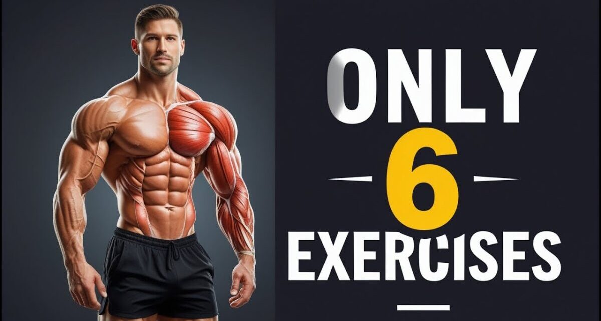 The #1 Full Body Routine To Build Muscle And Lose Fat (2025)