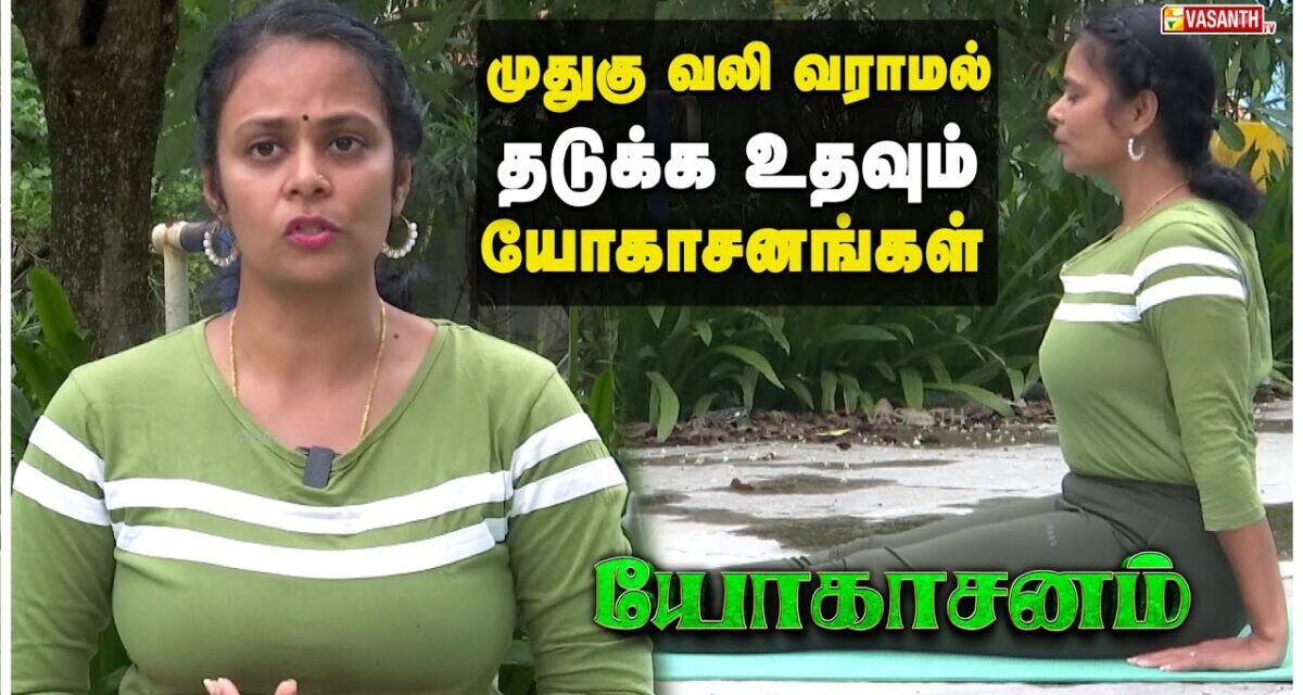முதுகு வலி வராமல் தடுக்க உதவும் யோகாசனங்கள்! | Dhinam Oru Yoga | Vasanth TV