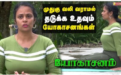 முதுகு வலி வராமல் தடுக்க உதவும் யோகாசனங்கள்! | Dhinam Oru Yoga | Vasanth TV