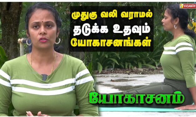 முதுகு வலி வராமல் தடுக்க உதவும் யோகாசனங்கள்! | Dhinam Oru Yoga | Vasanth TV