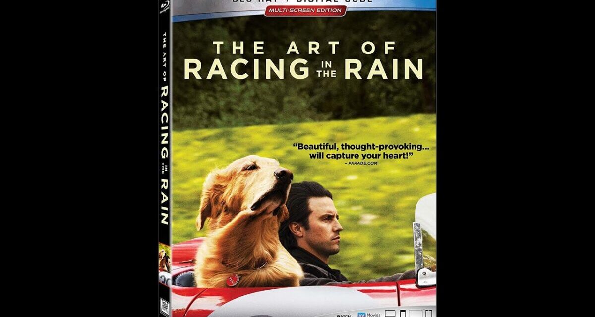 Opening/Closing To The Art Of Racing In The Rain 2019 Blu-ray