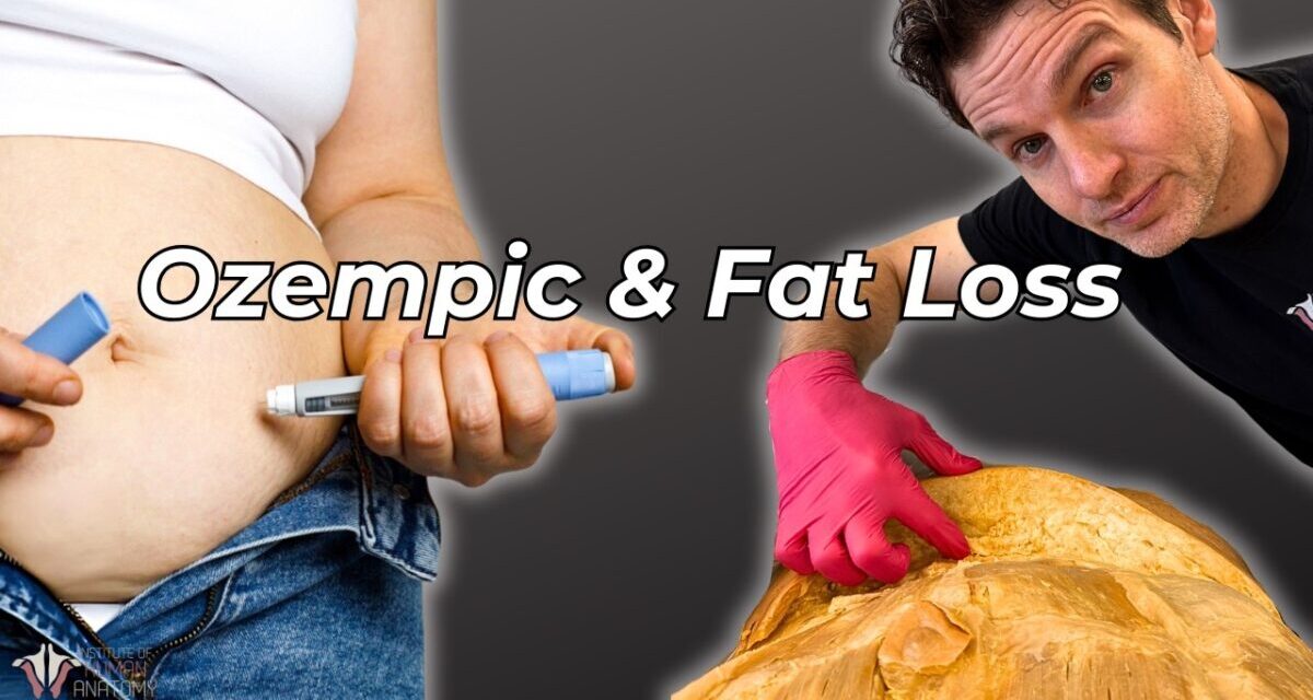 What Ozempic & Weight Loss Drugs Really Do To The Body