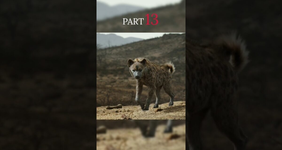 [PART-13] বাকি সিংহরা প্রতিবাদ করবে কি 💪| The Lion King Movie Explained In Bangla | #shorts