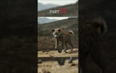 [PART-13] বাকি সিংহরা প্রতিবাদ করবে কি 💪| The Lion King Movie Explained In Bangla | #shorts