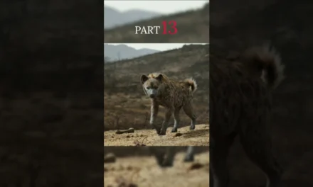 [PART-13] বাকি সিংহরা প্রতিবাদ করবে কি 💪| The Lion King Movie Explained In Bangla | #shorts