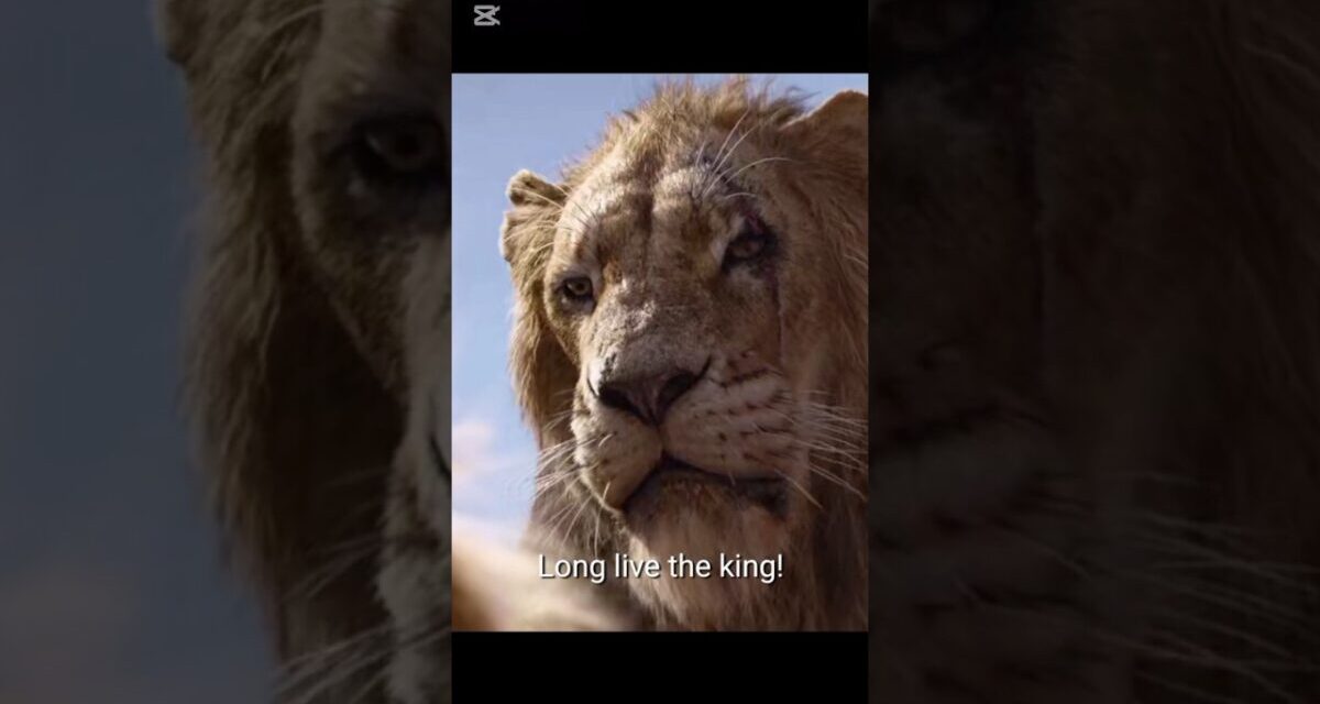 The Lion King 👑