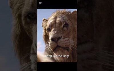 The Lion King 👑