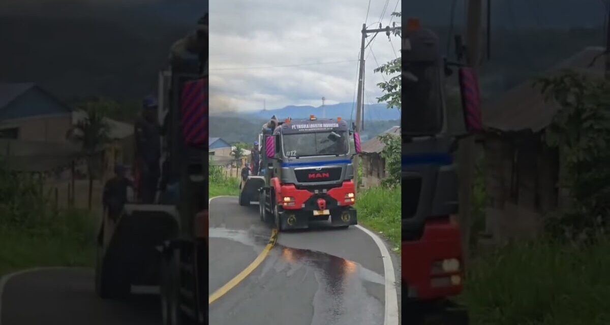 Trailer MAN‼️#truck #viralvideo #shorts