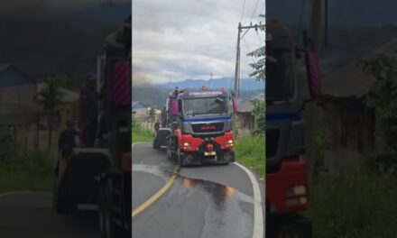 Trailer MAN‼️#truck #viralvideo #shorts