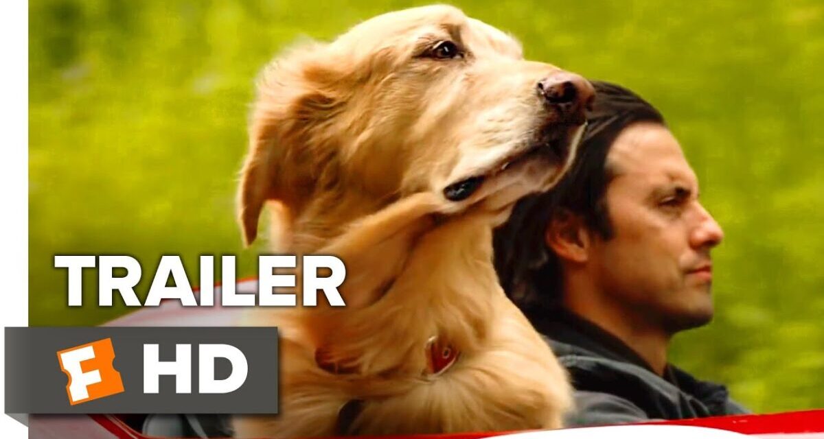 The Art Of Racing In The Rain Trailer #1 (2019) | Movieclips Trailers