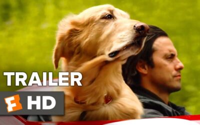 The Art Of Racing In The Rain Trailer #1 (2019) | Movieclips Trailers