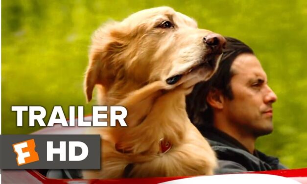 The Art Of Racing In The Rain Trailer #1 (2019) | Movieclips Trailers