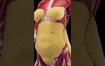 How Your Body Says Goodbye To Fat: The Science Of Weight Loss !