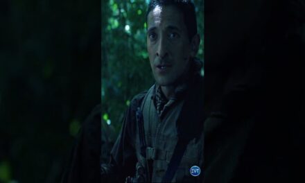 The Most Epic Predator Trap Scene Ever! | Predators Best Scenes