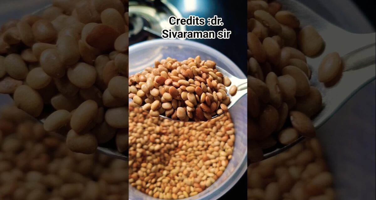 Weight Loss Drink Kollu /horse Gram #shortsvideo #shorts #trending #healthtips #samithasankari