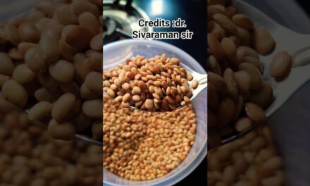 Weight Loss Drink Kollu /horse Gram #shortsvideo #shorts #trending #healthtips #samithasankari