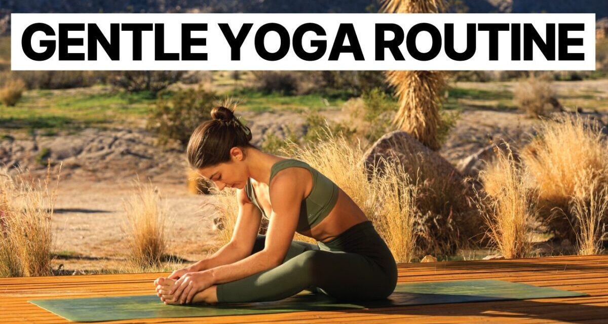 20 Min Gentle Yoga Routine | Beginner Friendly Full Body Stretch