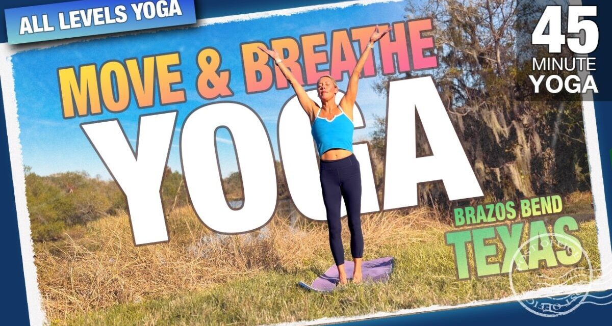 Move & Breathe In 45 Minutes – Yoga For YOU! A Five Parks Yoga Class With Erin Sampson