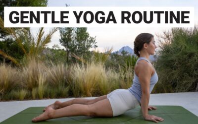 20 Min Gentle Yoga Routine | Beginner Friendly Full Body Stretch