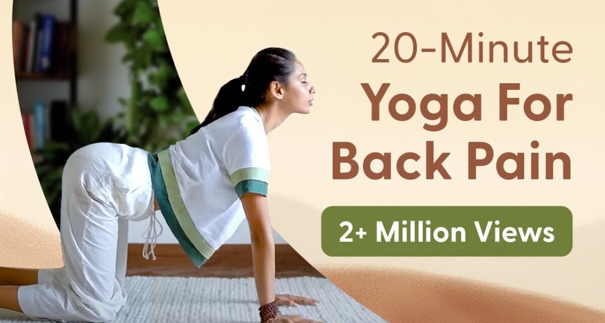 20 Minute Yoga For BACK PAIN | पीट दर्द के लिए योग @satvicyoga