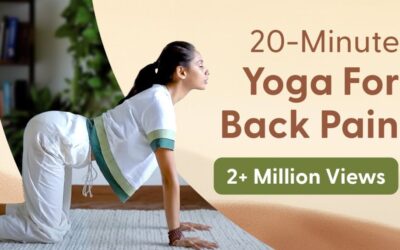20 Minute Yoga For BACK PAIN | पीट दर्द के लिए योग @satvicyoga