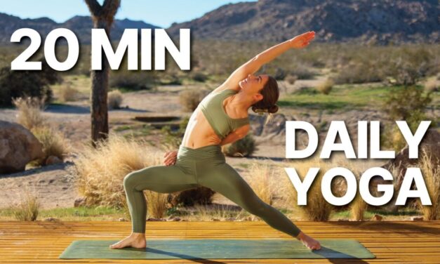 20 Min Daily Yoga Flow | Everyday Full Body Yoga For All Levels