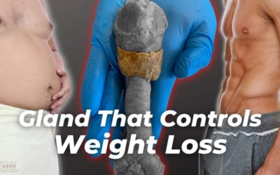 Sex, Fat, & Weight Loss | The Gland That Controls It All