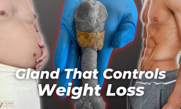 Sex, Fat, & Weight Loss | The Gland That Controls It All