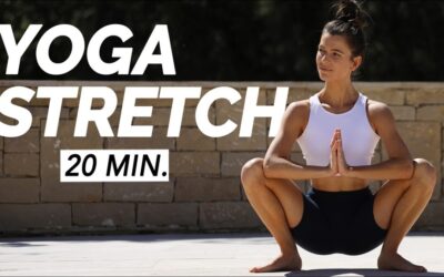 20 Min. Daily Yoga Stretch | Full Body Routine For All Levels