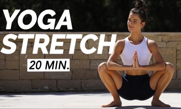 20 Min. Daily Yoga Stretch | Full Body Routine For All Levels