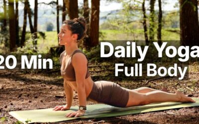 20 Min Daily Yoga Flow | Everyday Full Body Yoga For All Levels