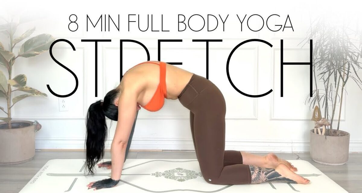 8 Min Yoga Full Body Stretch