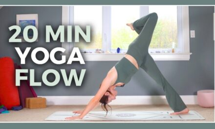 20 Min Full Body Vinyasa – Stretch & Flow